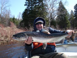 Bernie Pelech, Portsmouth NH