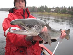 Opening day resulted in an average 10 fish landed per angler