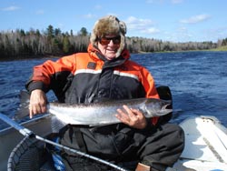 Local rumours appear to prove true - many fish arrive after fall counters close