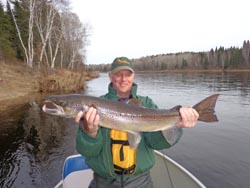 Craig Williams, Alexandra NH