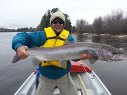 Jonnie Jackson, Stamford CT