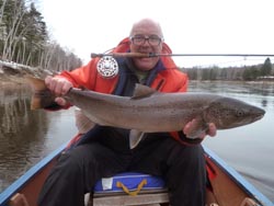 John Hoffman, Kitchener Ontario
