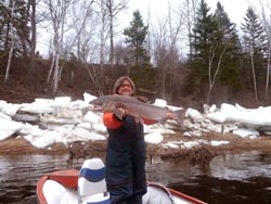 Art Mesher, Waterloo Ontario