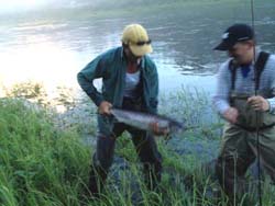 Karl Janelle, Hubbords NS
