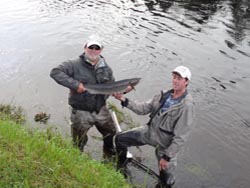 William Garrard, Minneapolis, Minn
