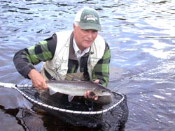 Steve Johnson, Grayling MI,  Steve landed this one on a Bomber