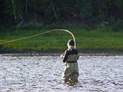 Early morning fishing