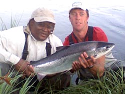 Michal Thomas, Chappaqua NY
