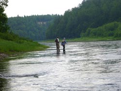 A morning at Blissfield Pool

