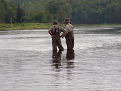 Showing how it's done