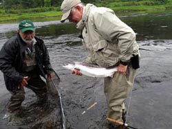 Peter Cherry, Ann Arbour MI
