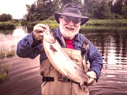 Lee Drake, I.Bloomfield 