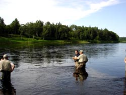 First Atlantic Salmon