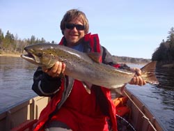 Art Mesher, Waterloo Ont