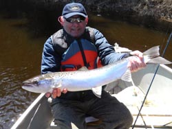 Bernie Pelech  Portsmouth NH
