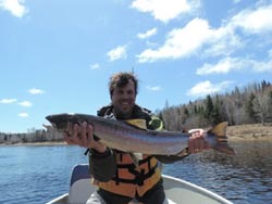 Steve Vaccarello, South Orange NJ
