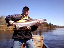 Jeff Phinney, Moncton NB