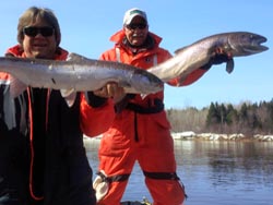 Double hitter, Art Mesher & Luigi Miceli, Kitchener Ontario