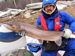Donald Dimambro, Barrington NH 