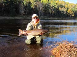 Landed by George Stahanovieh, Piscataway NJ