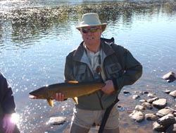 Bryan Martin, Devon England
