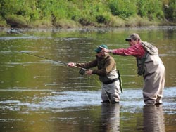 sight fishing for  salmon
