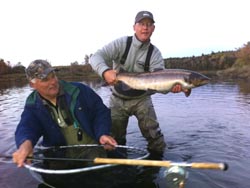 Andrew Moy, Towaco NJ, Main River Salmon