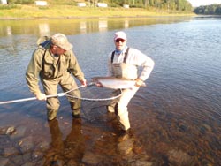 Robert Widgnen, Albuquerque NM