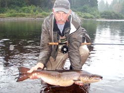 Terry Nab, Lewiston Idaho
