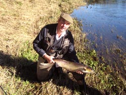 Main river Atlantic Salmon